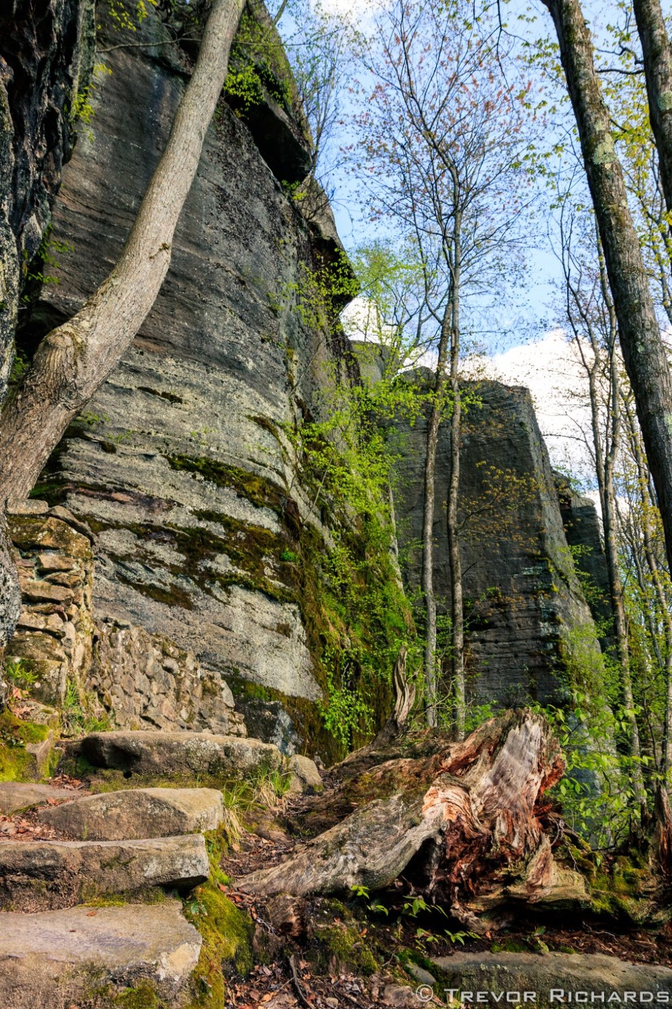 Allegheny National Forest, Rimrock. Photo by Trevor Richards.