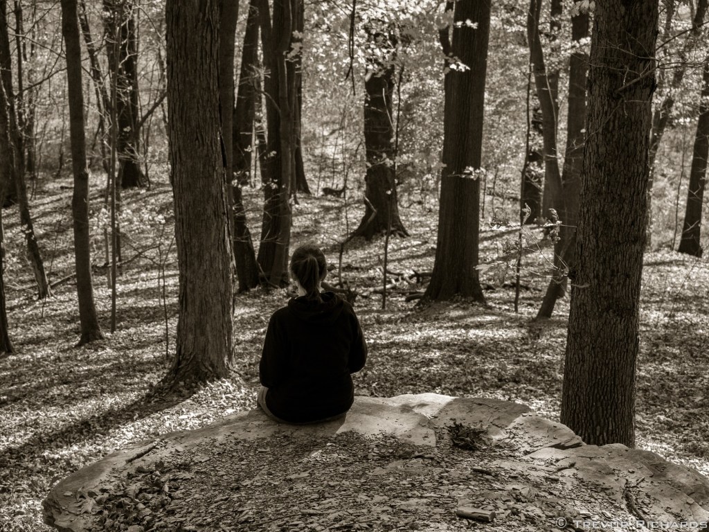 Picture of woman sitting on a rock in the woods, surrounded by fall trees, with a deer in the distance.